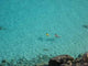 Lampedusa Wall Mural