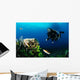 And Wrasse Diver 2 Wall Decal