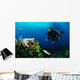 And Wrasse Diver 2 Wall Decal
