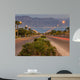 Local Street Running to Wall Decal