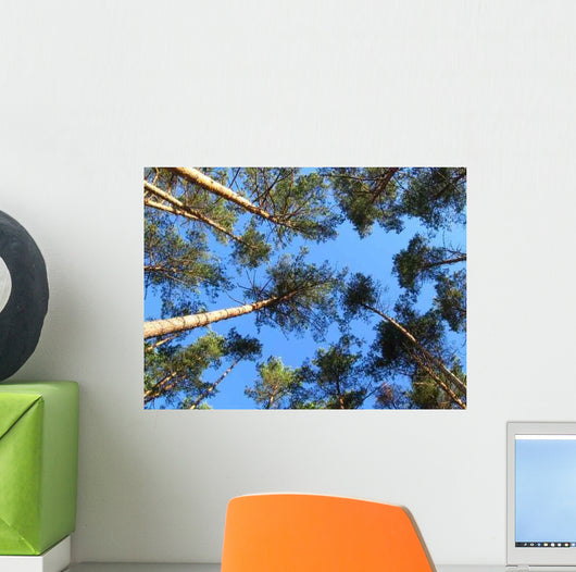 Sky Trees Wall Decal