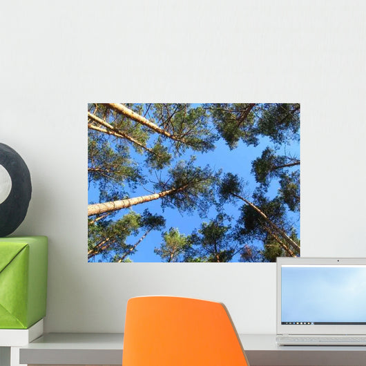 Sky Trees Wall Decal