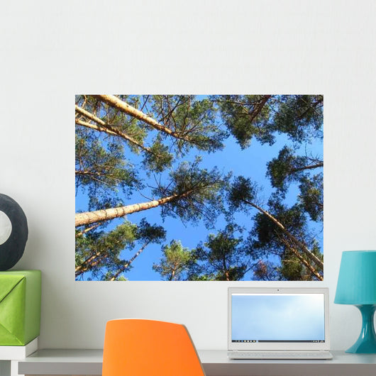 Sky Trees Wall Decal