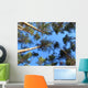 Sky Trees Wall Decal