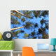 Sky Trees Wall Decal