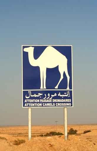 Sign Road Wall Decal