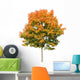 Autumn Maple Tree White Wall Decal