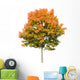 Autumn Maple Tree White Wall Decal