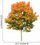 Autumn Maple Tree White Wall Decal
