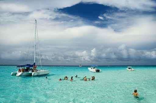 Stingray City 4 Wall Decal
