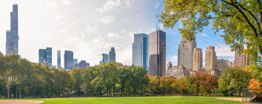 City Park and Skyscrapers Wall Decal
