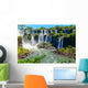 Iguazu Falls from Argentina Wall Decal