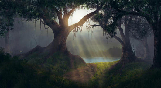 Sun Rays Forest Wall Decal