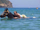Swimming Horseback Wall Decal
