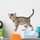 Shorthair Brindled Kitten Goes Wall Decal