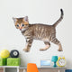 Shorthair Brindled Kitten Goes Wall Decal