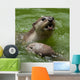 Otter Wall Decal
