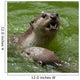 Otter Wall Decal