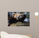 Waving Red Panda Wall Decal
