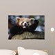 Waving Red Panda Wall Decal