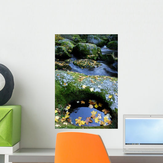 Bach with Mossy Stones Wall Decal