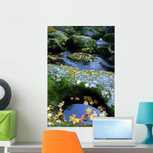 Bach with Mossy Stones Wall Decal