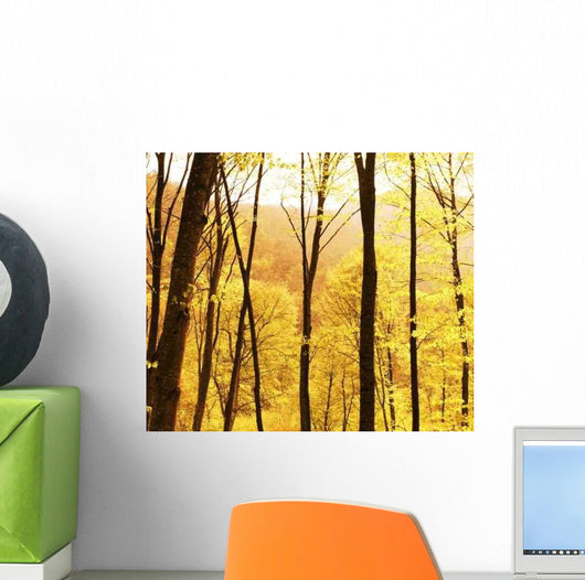 Fall Forest Wall Decal