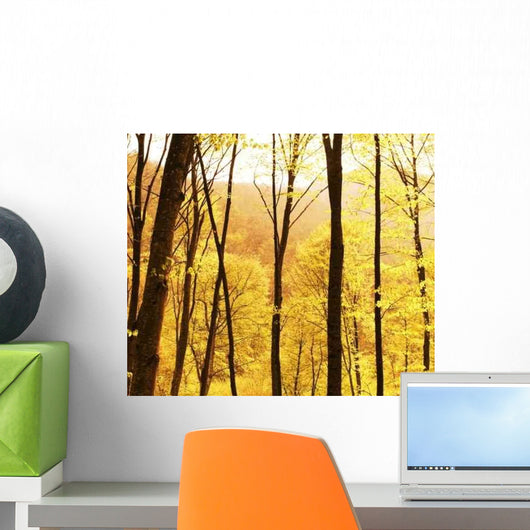 Fall Forest Wall Decal