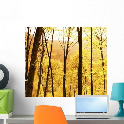 Fall Forest Wall Decal
