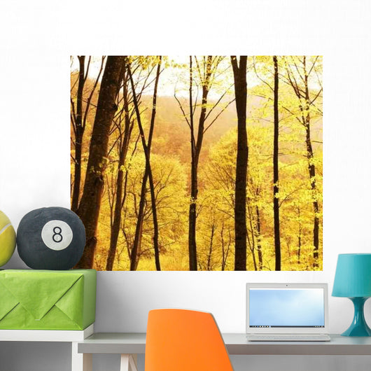 Fall Forest Wall Decal