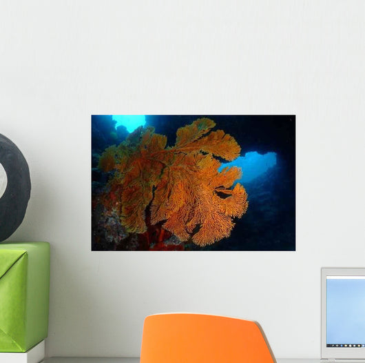 Giant Gorgon Wall Decal