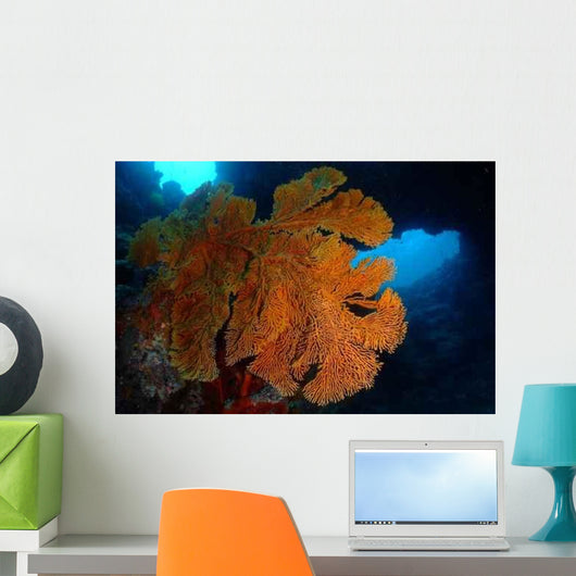 Giant Gorgon Wall Decal