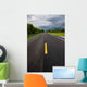 Tamiami Trail Extending to Wall Decal