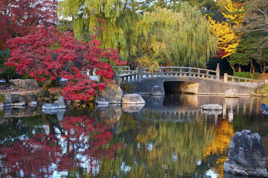 Summer Japanese Landscaped Garden Wall Decal