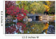 Summer Japanese Landscaped Garden Wall Decal