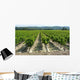 Vines Wall Decal