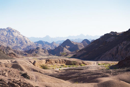 Sinai Desert Wall Decal