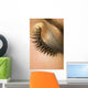 Golden Eye Too Wall Decal