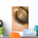 Golden Eye Too Wall Decal