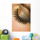 Golden Eye Too Wall Decal