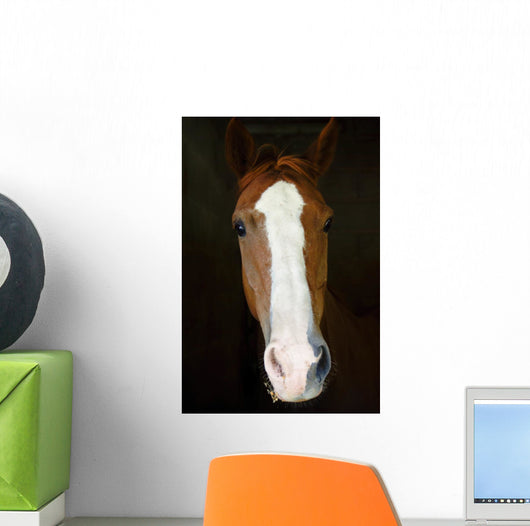 Horse Wall Decal Design 3