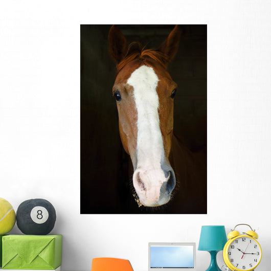 Horse Wall Decal Design 3