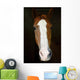 Horse Wall Decal Design 3