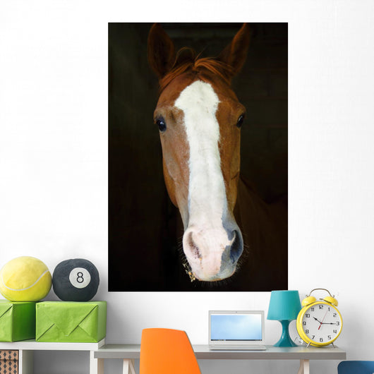 Horse Wall Decal Design 3