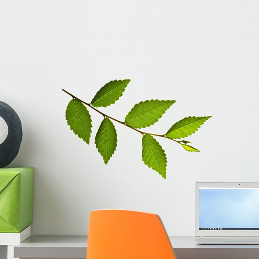 Tree Branch with Green Wall Decal