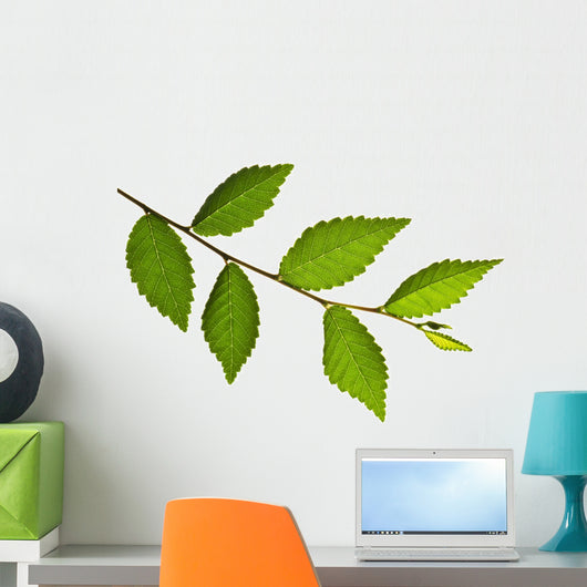 Tree Branch with Green Wall Decal