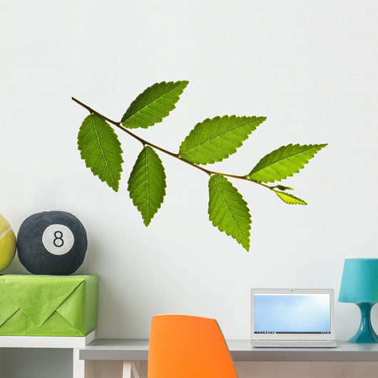 Tree Branch with Green Wall Decal