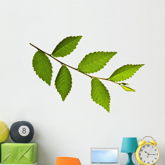 Tree Branch with Green Wall Decal