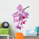 Pink Orchid Wall Decal Design 1