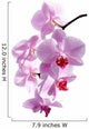 Pink Orchid Wall Decal Design 1